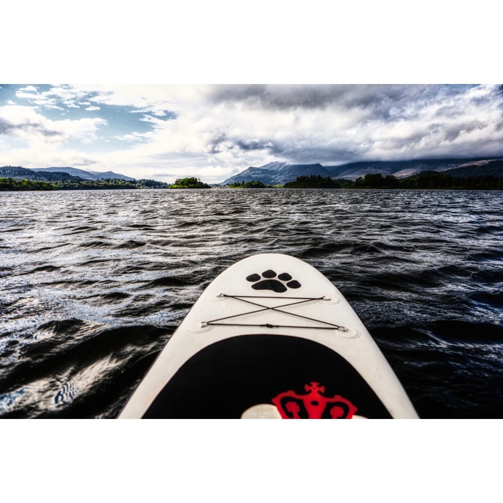 SUP дошка WildSUP Royal Panda 11’3” одномісна надувна - Зображення 4